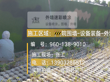 蛟河外墙迷彩漆材料价约 45-60 元 /k